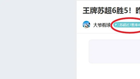 B费险失曼联巅峰之旅：忠诚红魔，两度濒临离队，誓要谱写辉煌新篇章